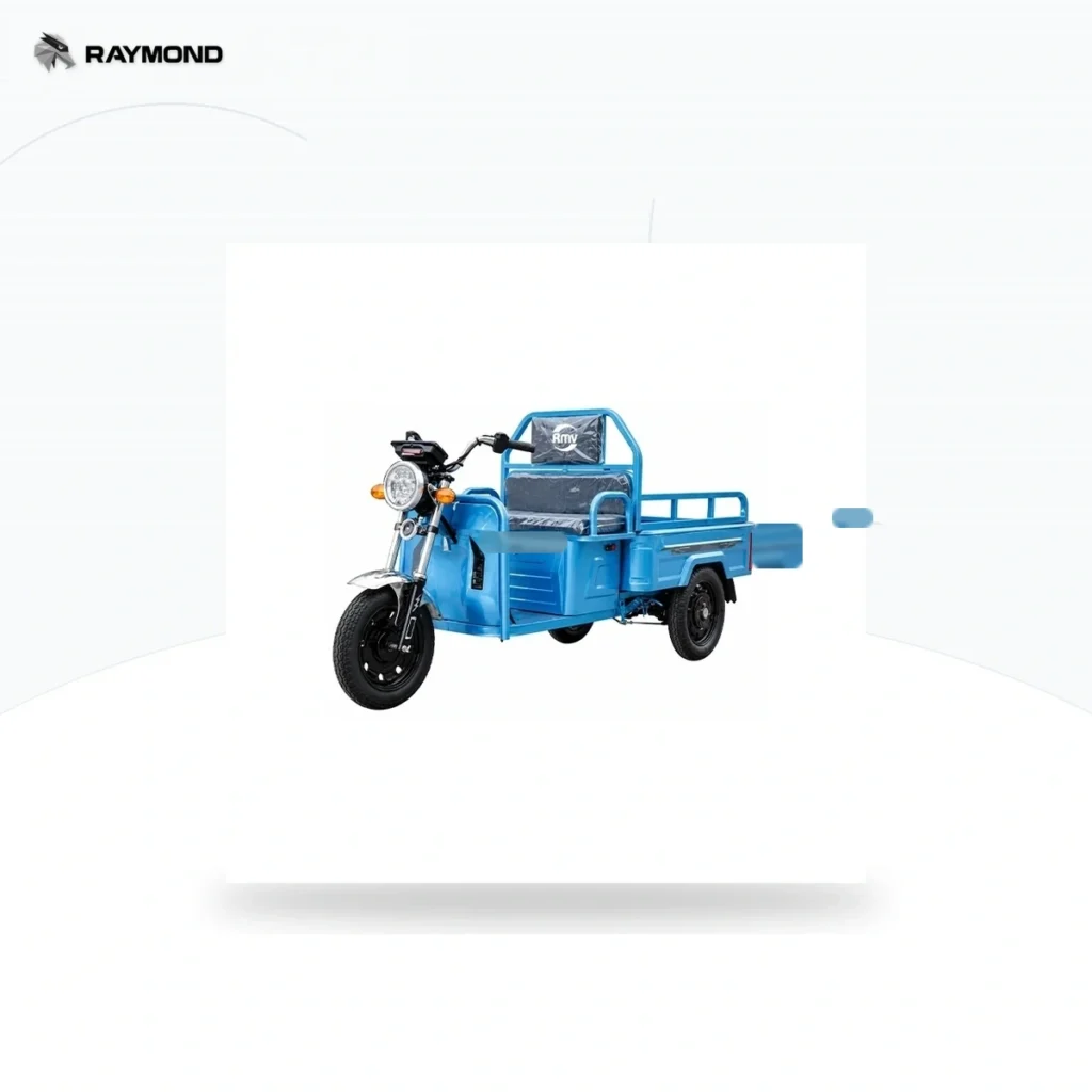 Raymon Cargo Electric Tricycle 0179