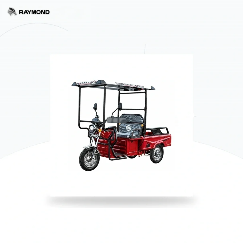 Raymon Cargo Electric Tricycle 0180