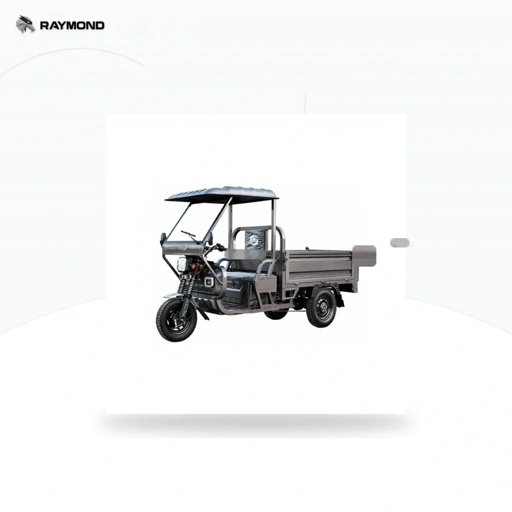 Raymon Cargo Electric Tricycle 0181