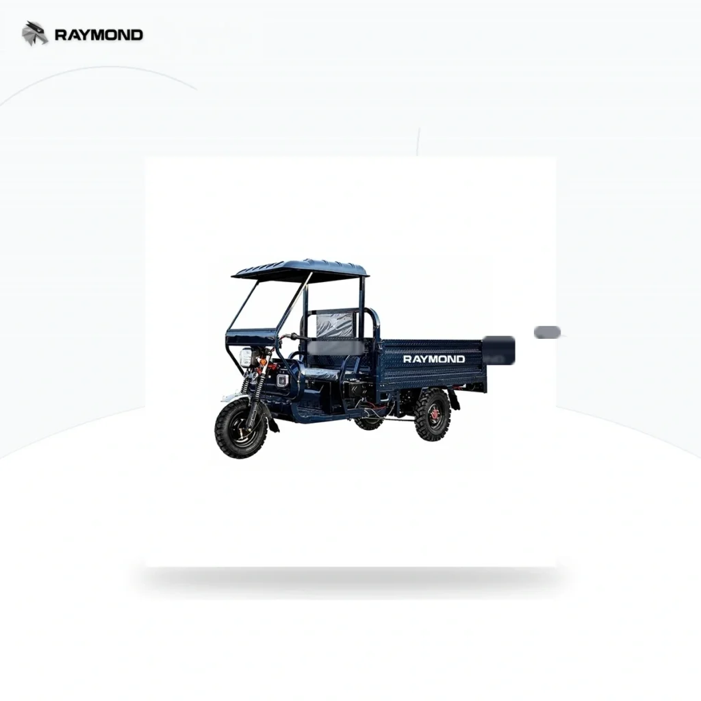 Raymon Cargo Electric Tricycle 0182