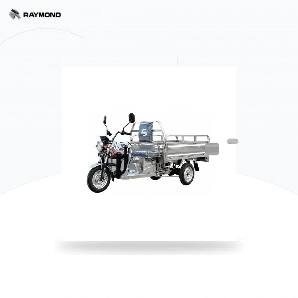 Raymon Cargo Electric Tricycle 0183