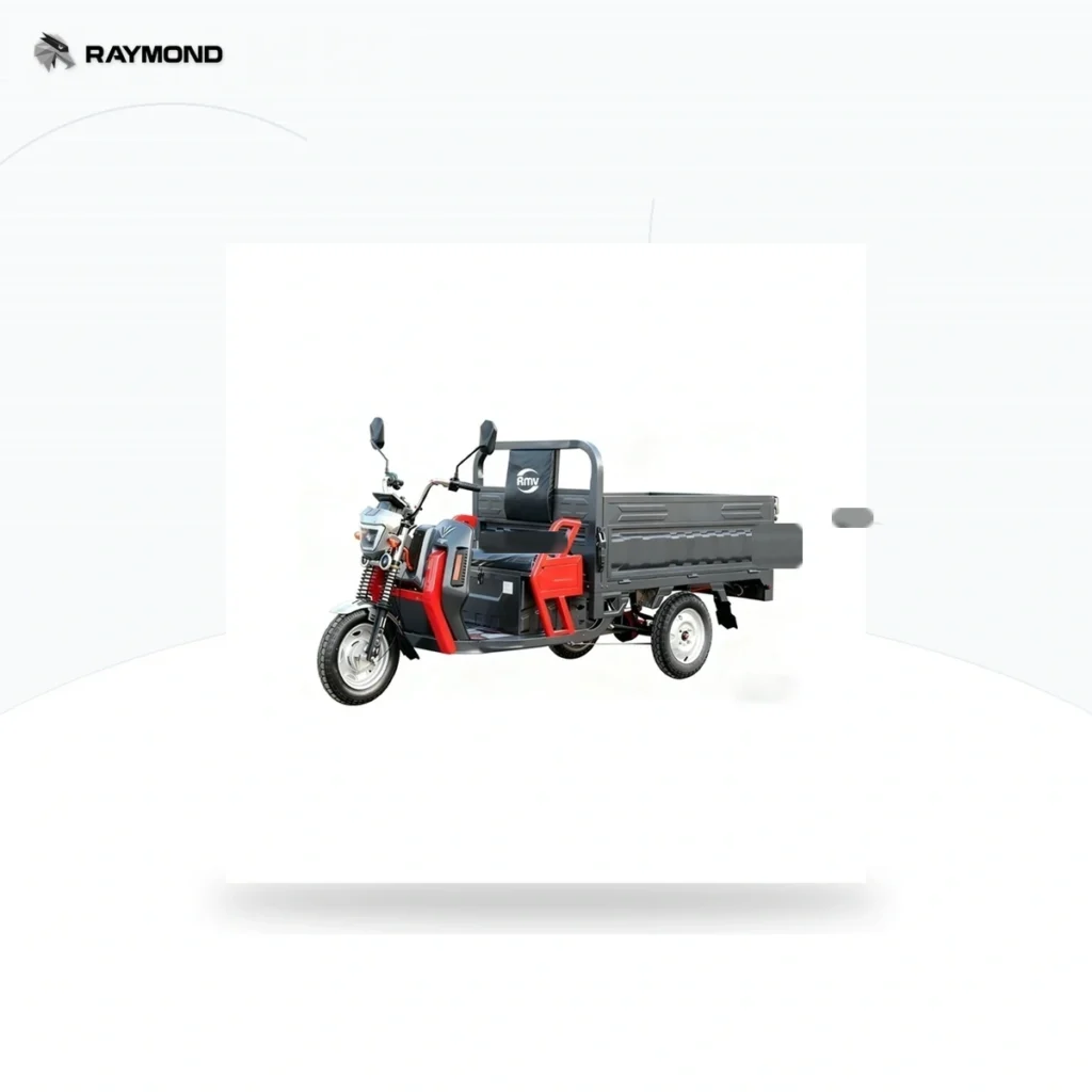 Raymon Cargo Electric Tricycle 0184