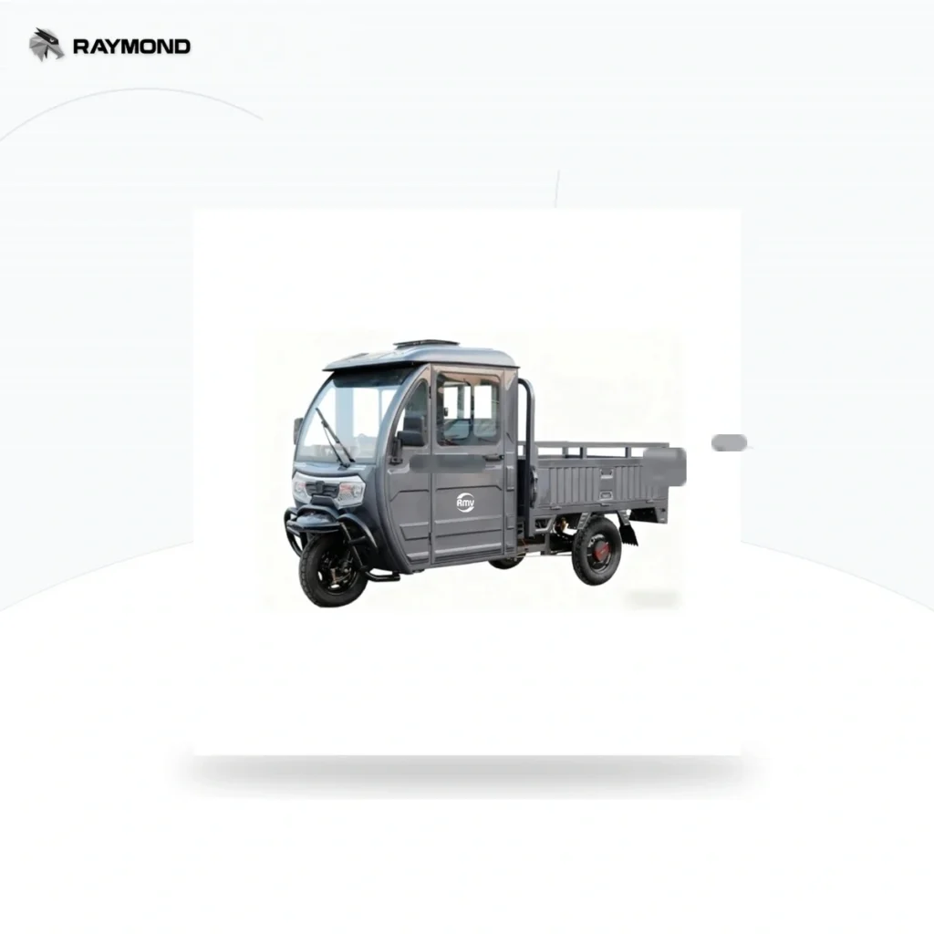 Raymon Cargo Electric Tricycle 0185