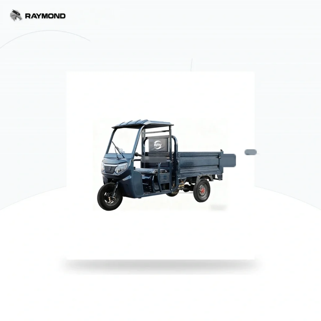 Raymon Cargo Electric Tricycle 0186