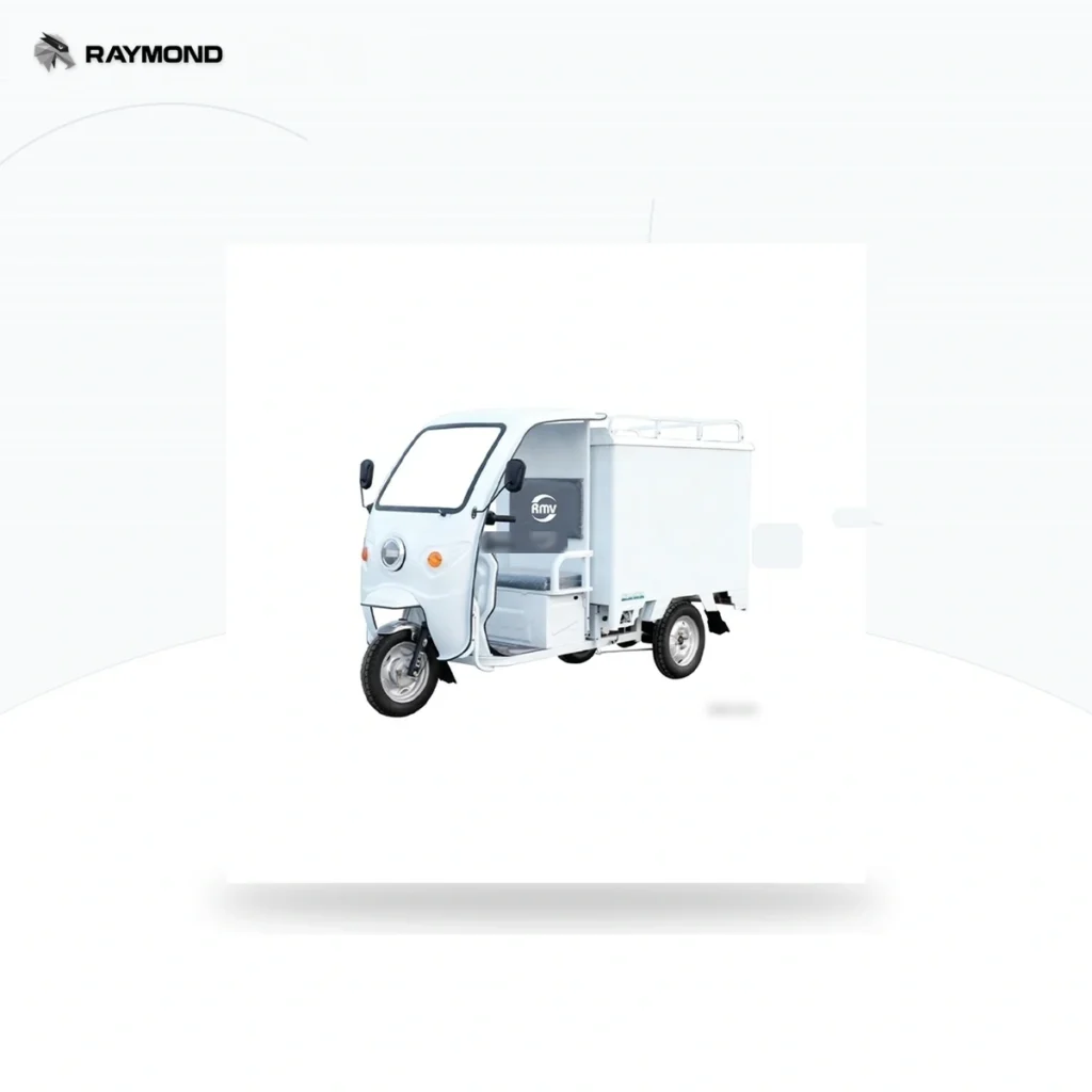 Raymon Cargo Electric Tricycle 0187