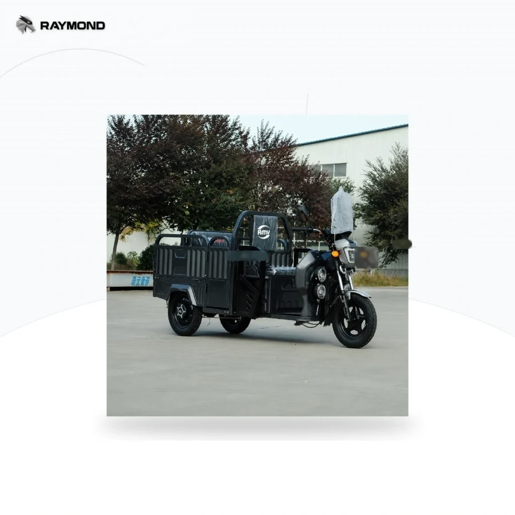 Raymon Cargo Electric Tricycle 0188