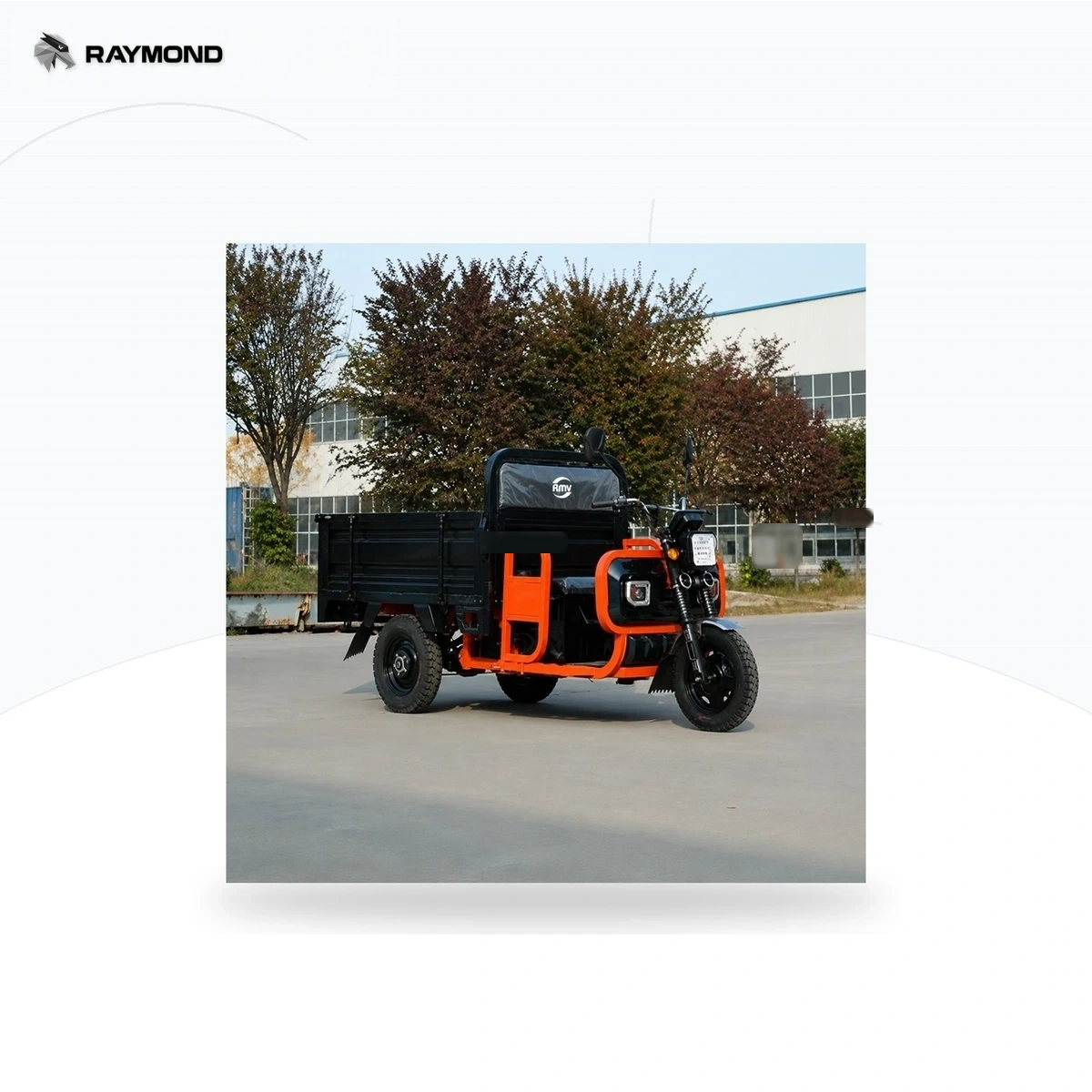 Silver cargo electric tricycle product image