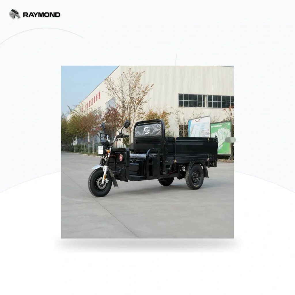 Raymon Cargo Electric Tricycle 0190