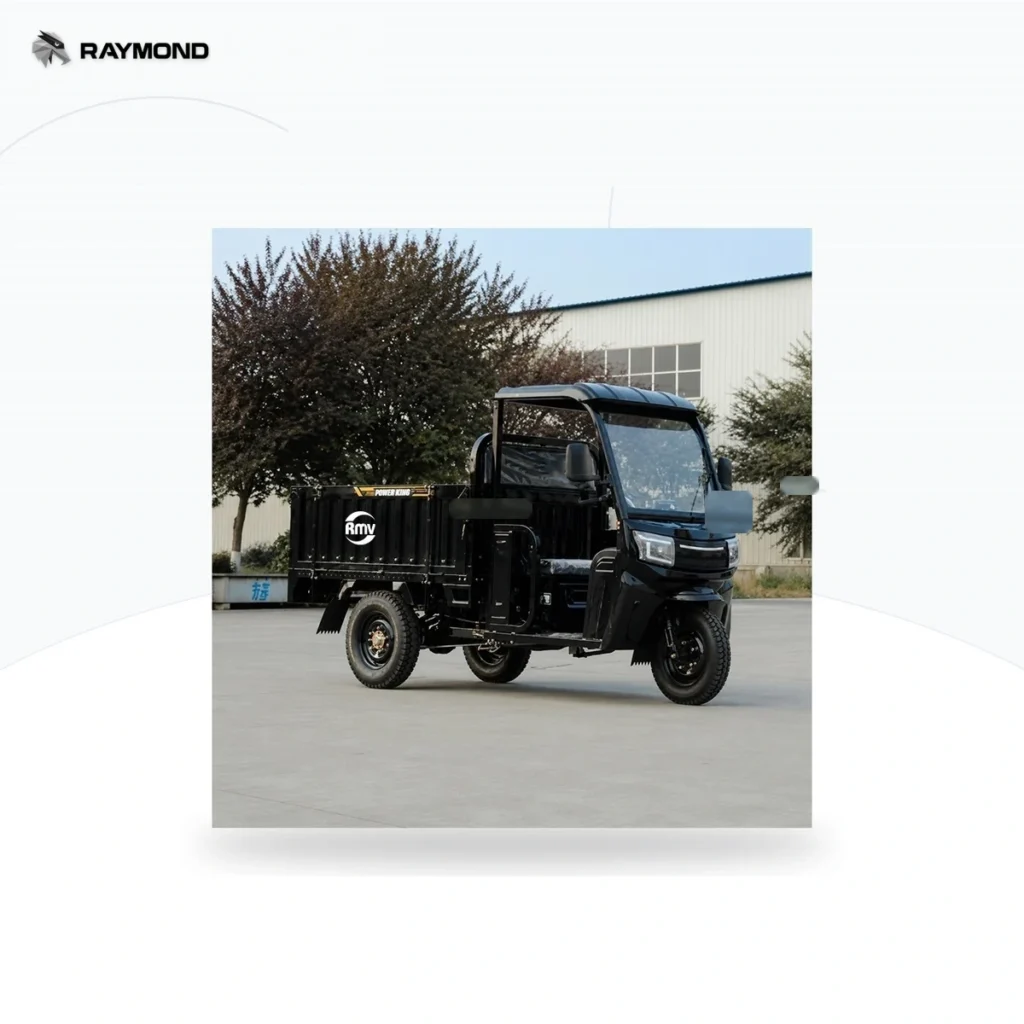 Raymon Cargo Electric Tricycle 0191