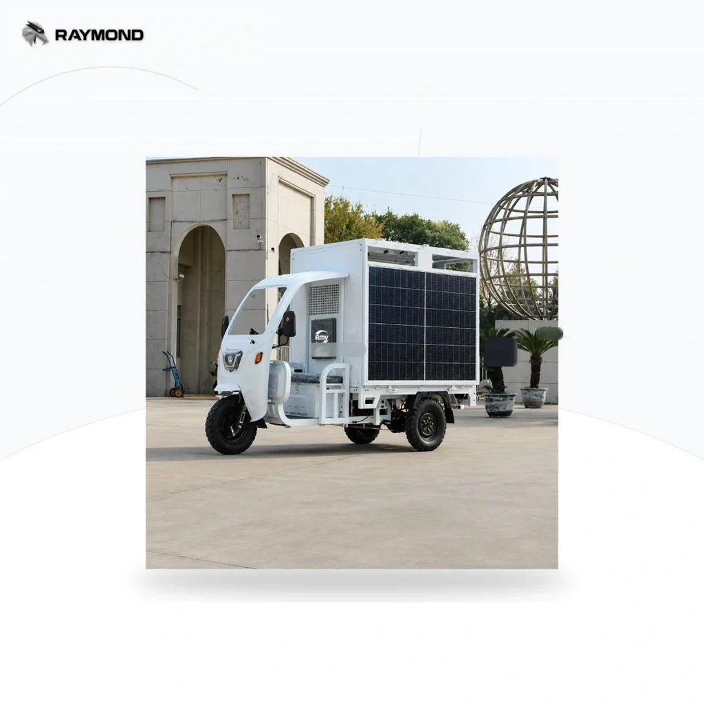 Raymon Cargo Electric Tricycle 0193