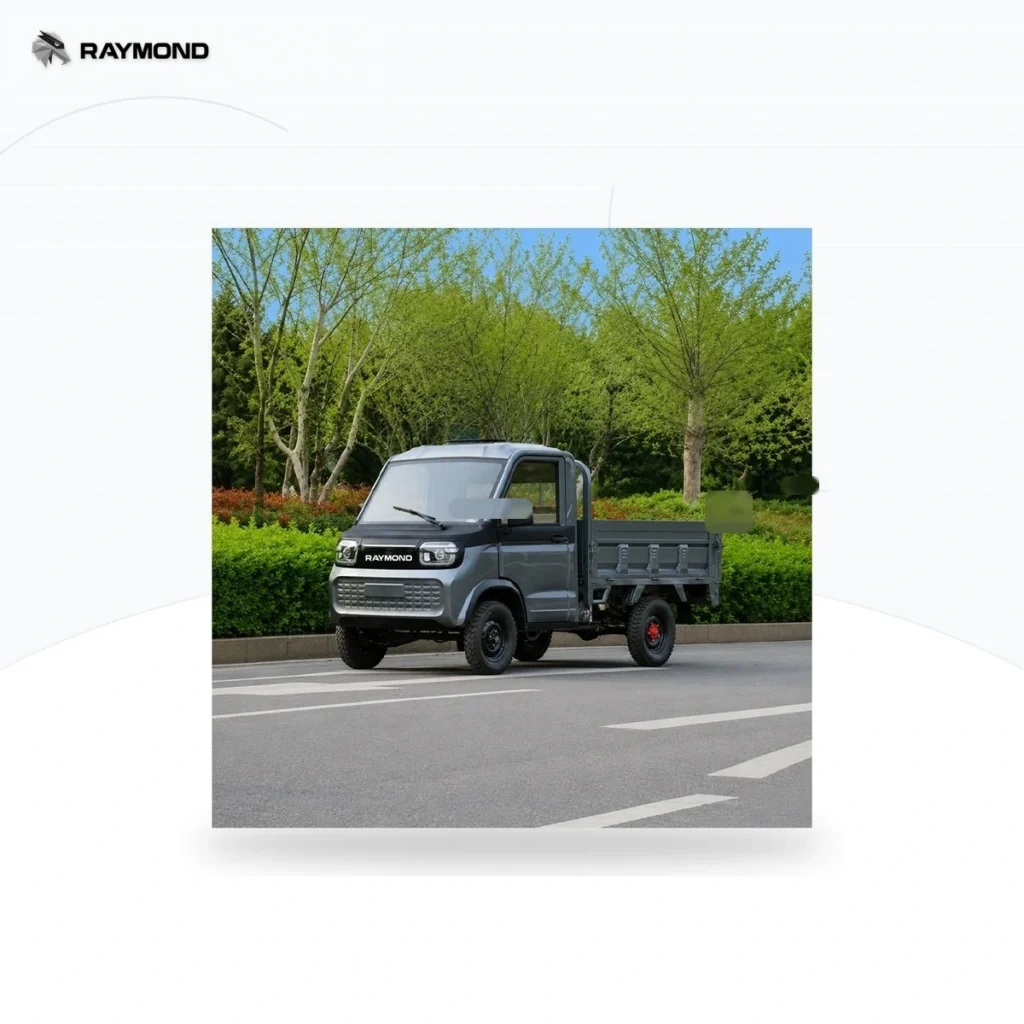 Raymon Cargo Electric Tricycle 0194
