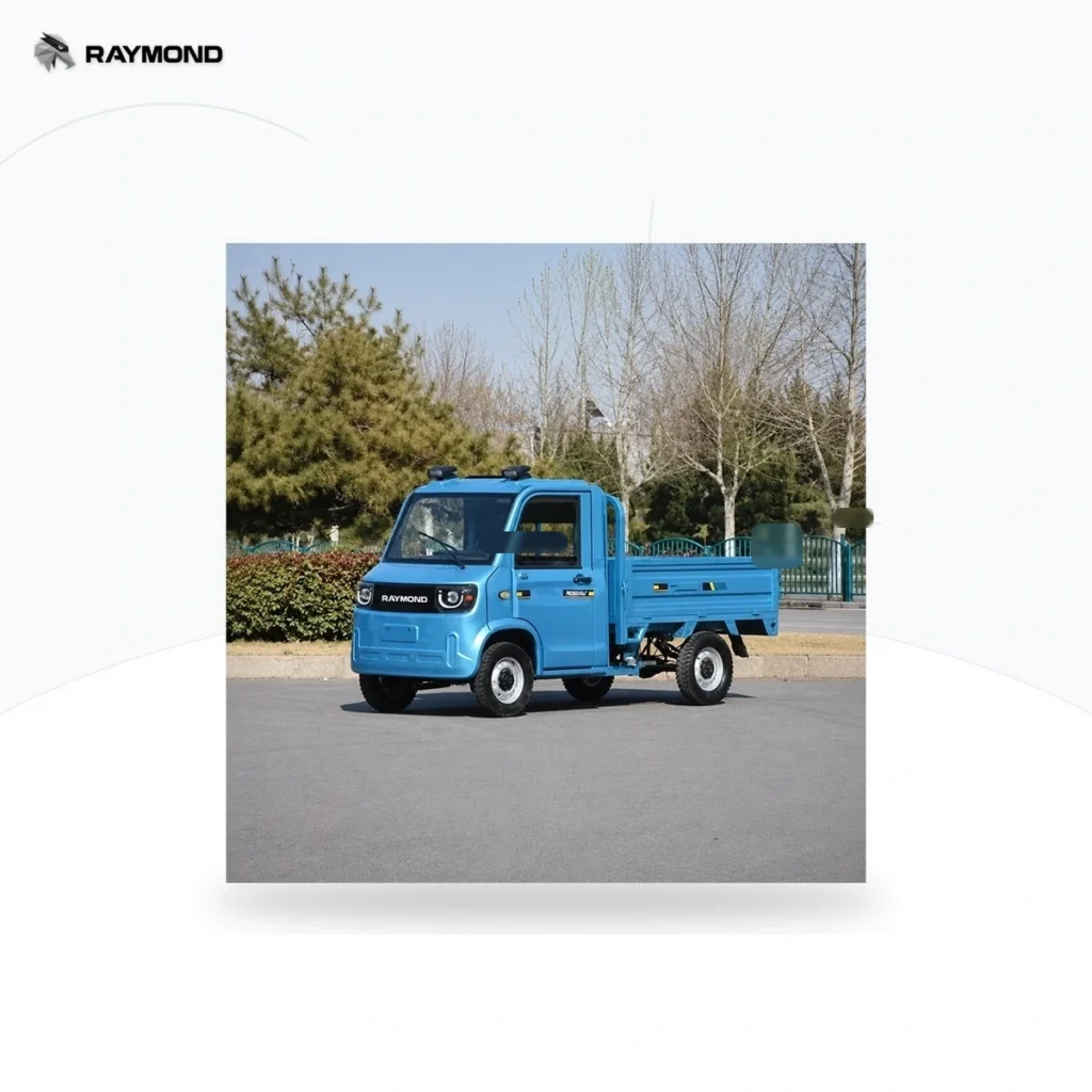Raymon Cargo Electric Tricycle 0195