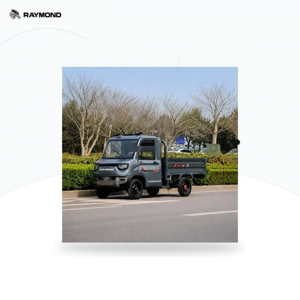 Raymon Cargo Electric Tricycle 0196