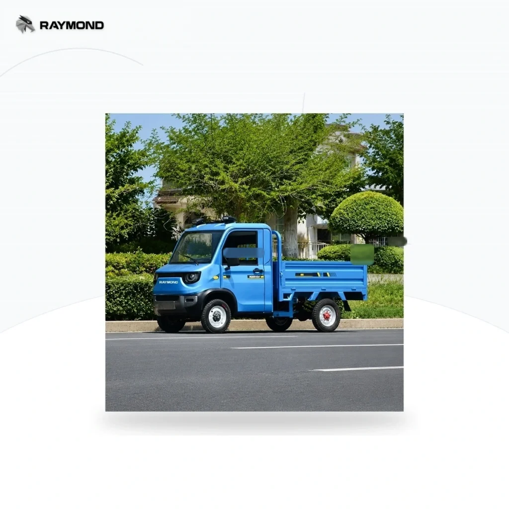 Raymon Cargo Electric Tricycle 0197