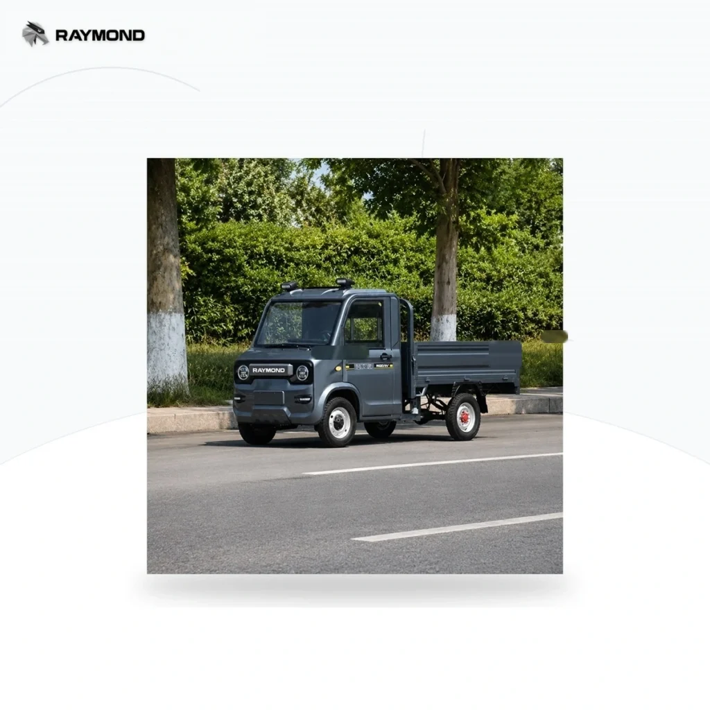 Raymon Cargo Electric Tricycle 0198