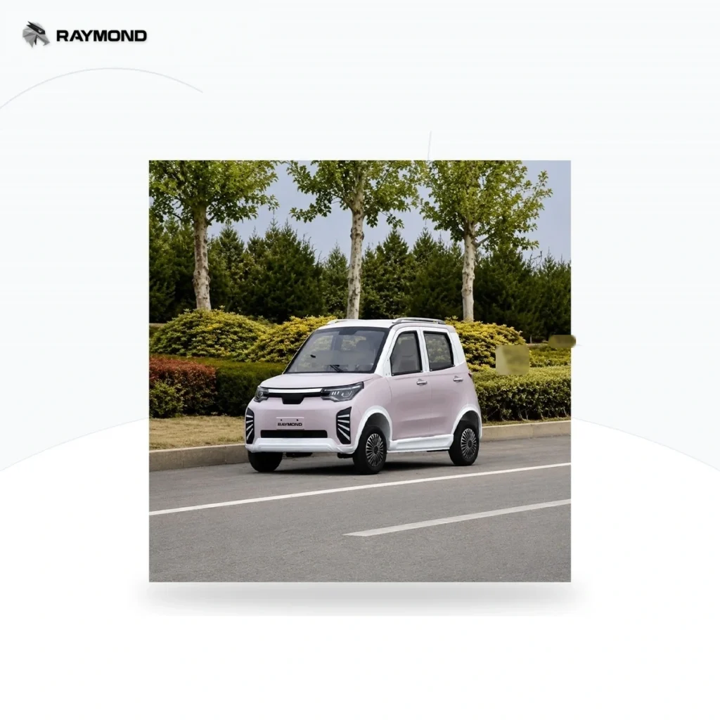 Raymon Cargo Electric Tricycle 0199