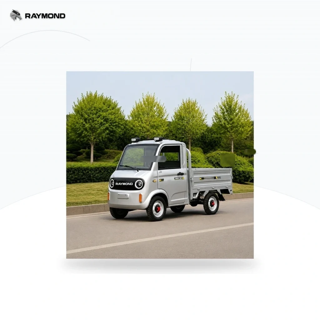Raymon Cargo Electric Tricycle 0200