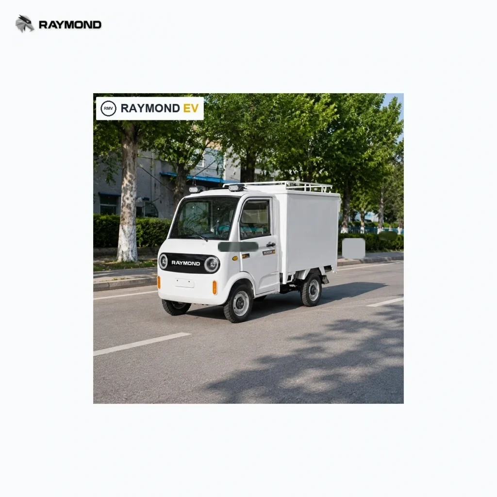 Raymon Cargo Electric Tricycle 0201