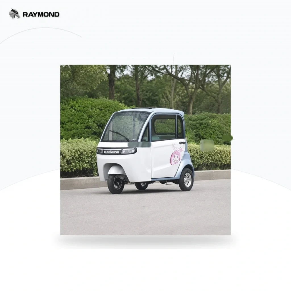 Raymon Cargo Electric Tricycle 0202