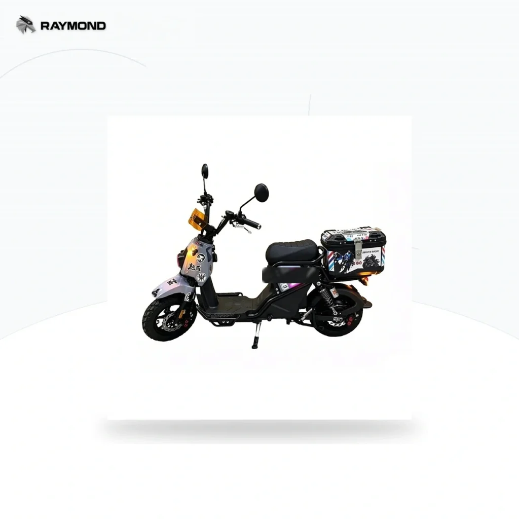 Raymon Motorcycle-Style Tricycle 0091