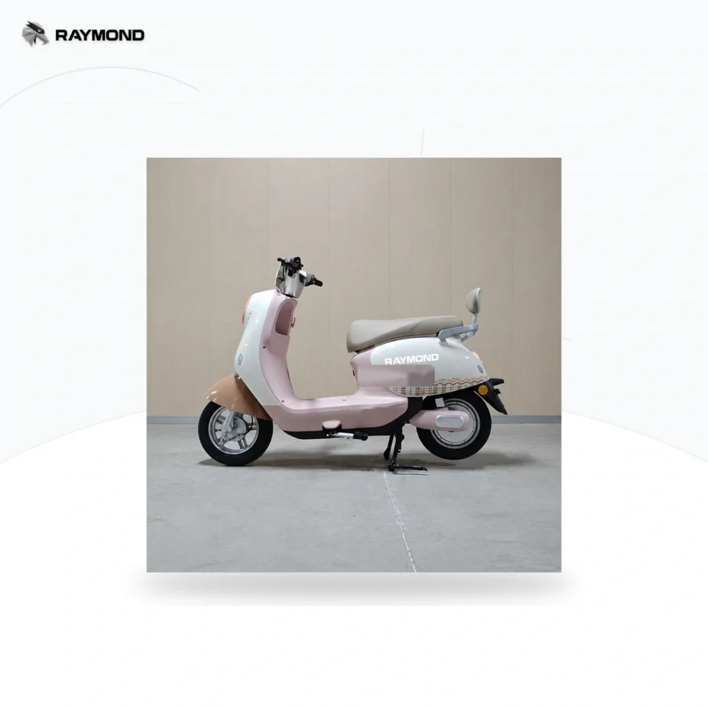 Raymon Motorcycle-Style Tricycle 0100