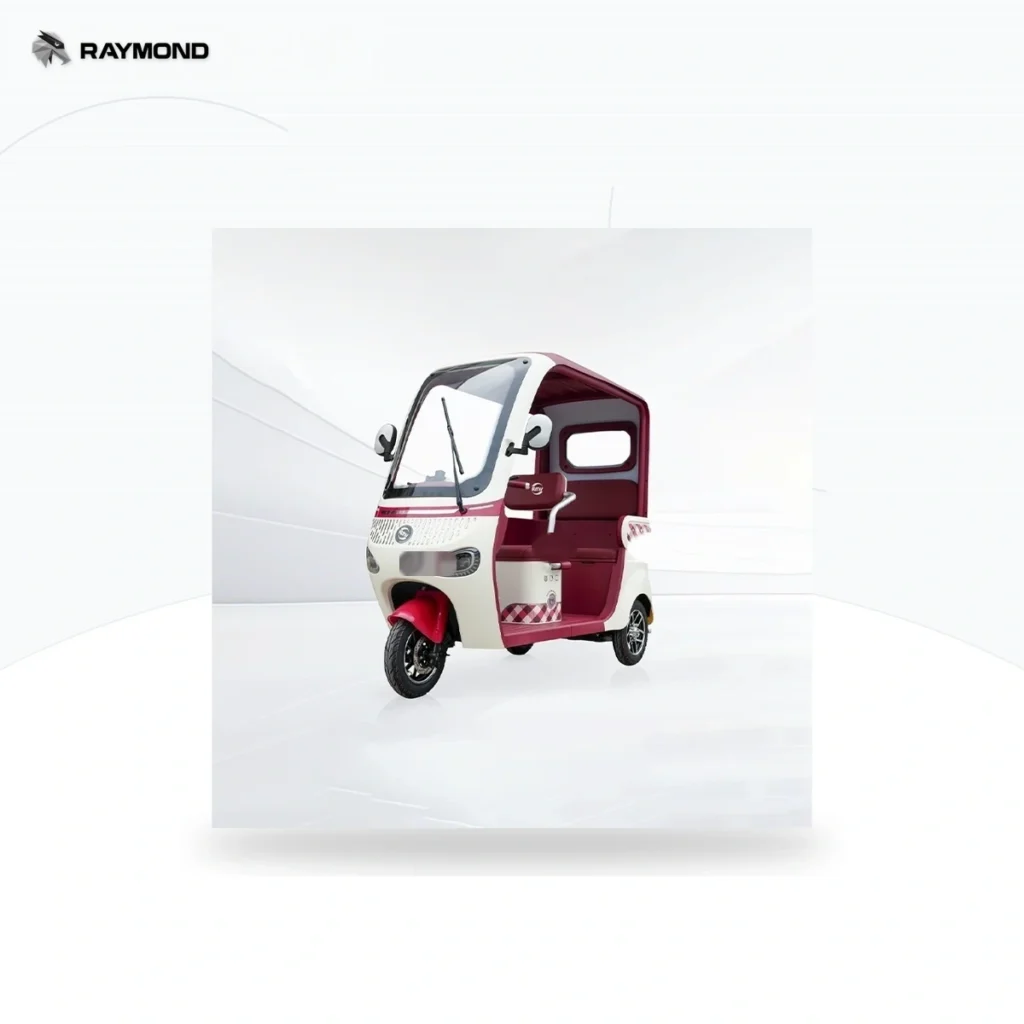 Raymon Passenger Leisure Tricycle 0108