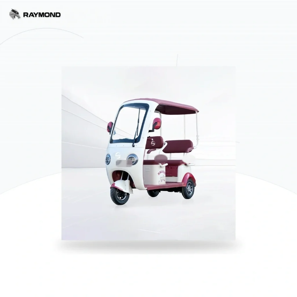 Raymon Passenger Leisure Tricycle 0120
