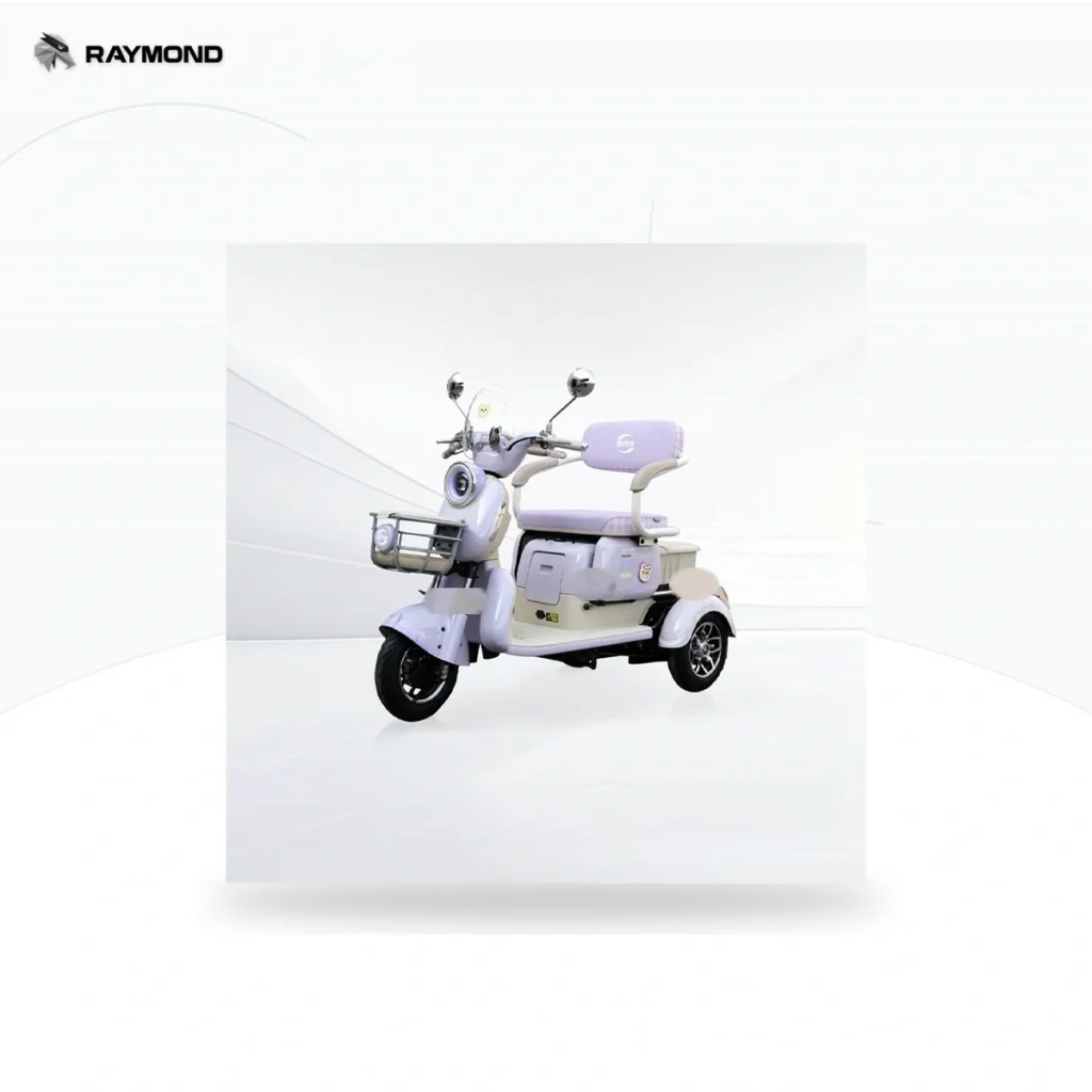 Raymon Passenger Leisure Tricycle 0153