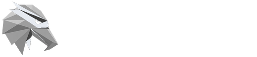 Raymon EV