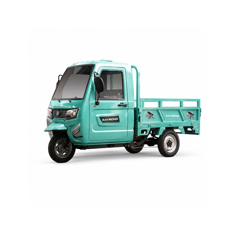Raymon Cargo Electric Tricycle 0008