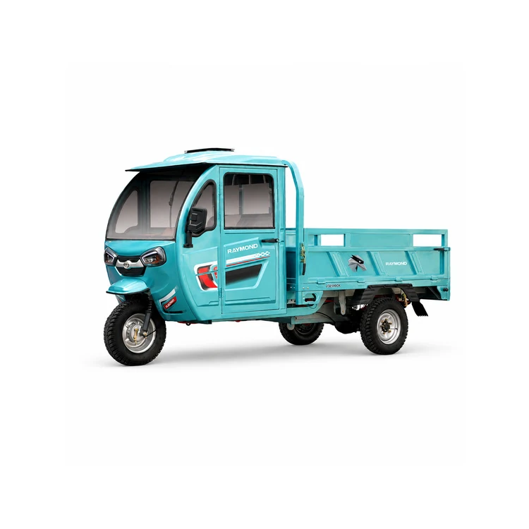 Raymon Cargo Electric Tricycle 0011