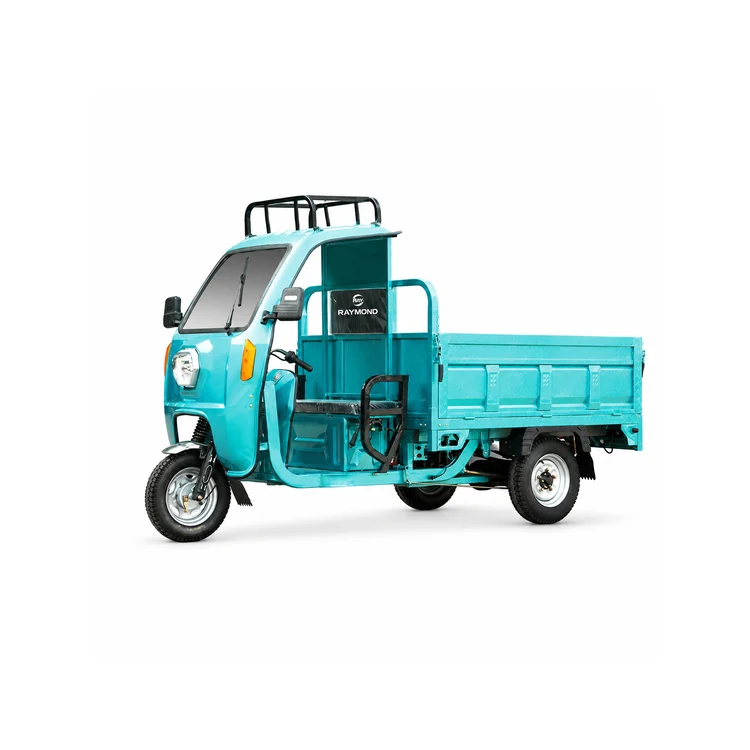 Raymon Cargo Electric Tricycle 0013