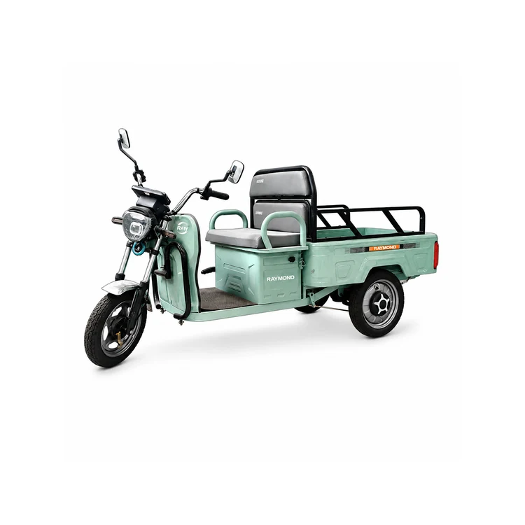 Raymon Cargo Electric Tricycle 0032