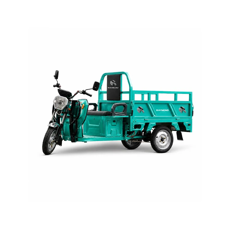 Raymon Cargo Electric Tricycle 0034