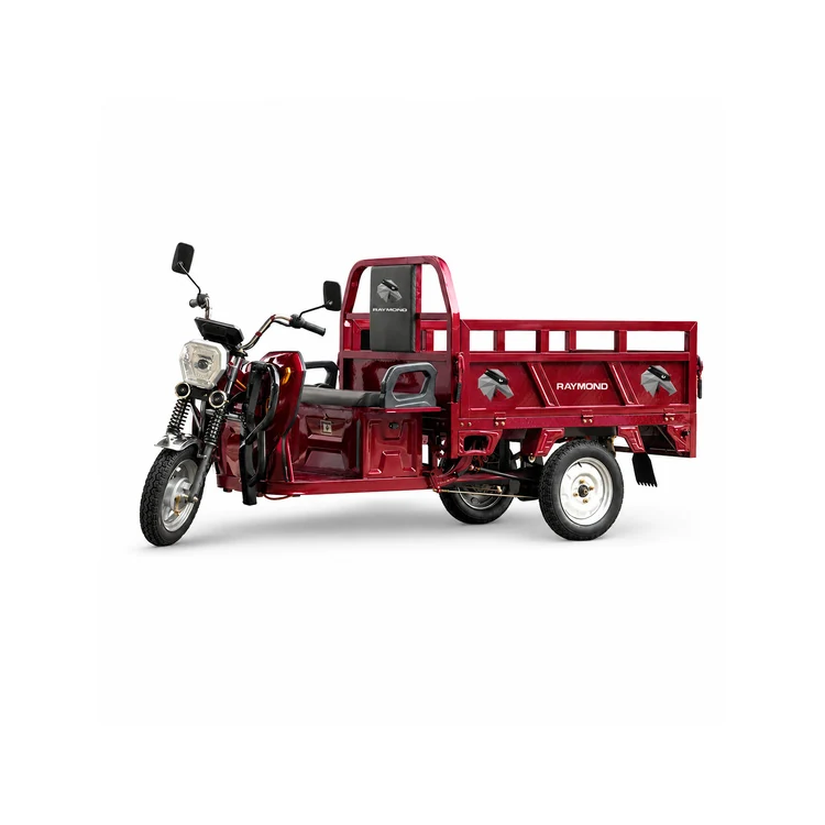 Raymon Cargo Electric Tricycle 0035