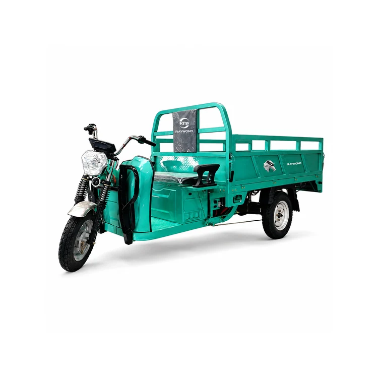Raymon Cargo Electric Tricycle 0038