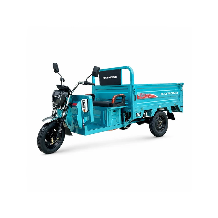Raymon Cargo Electric Tricycle 0039