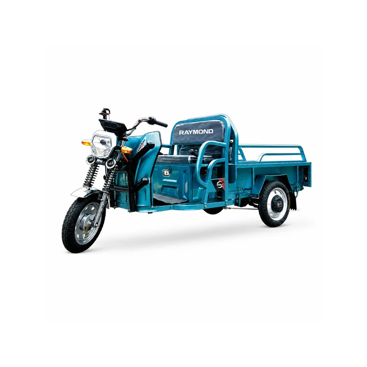 Raymon Cargo Electric Tricycle 0044