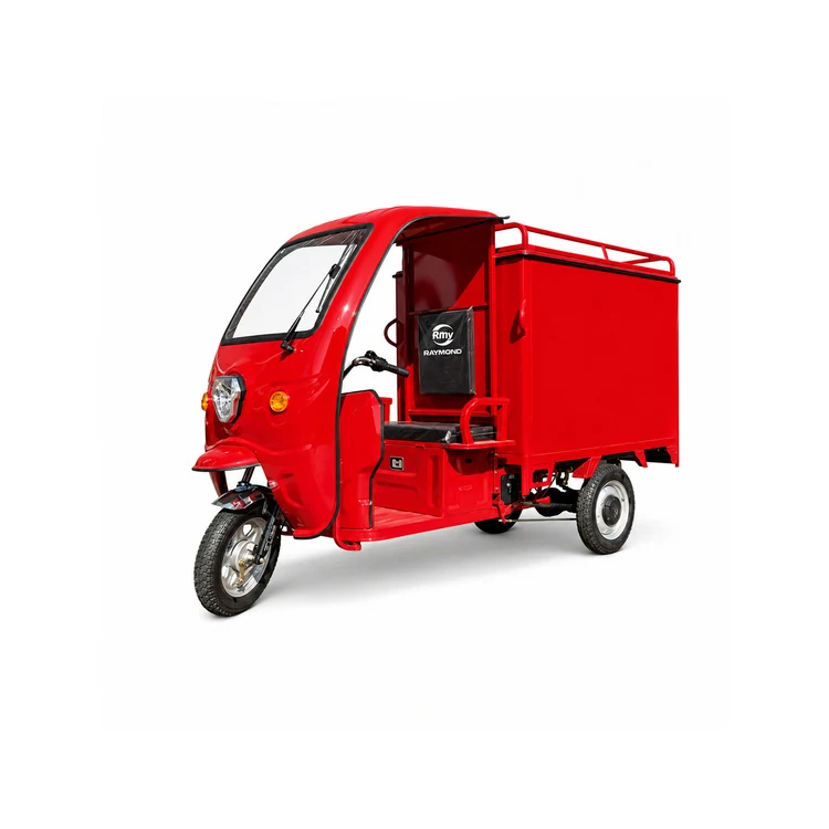 Raymon Enclosed Cargo EV 0064