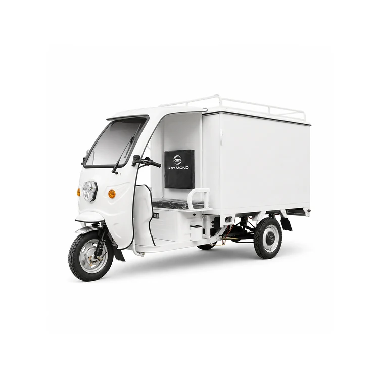 Raymon Enclosed Cargo EV 0065