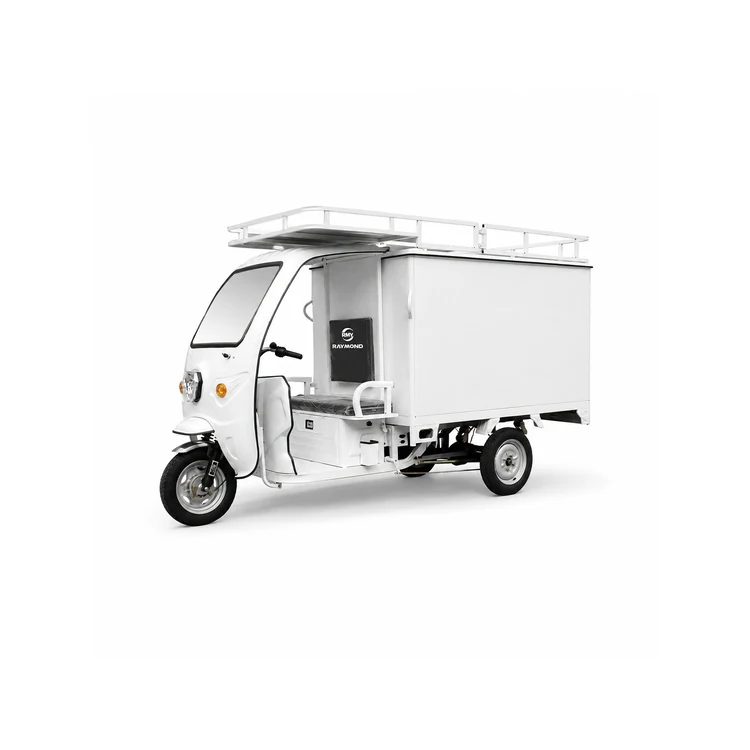 Raymon Enclosed Cargo EV 0066
