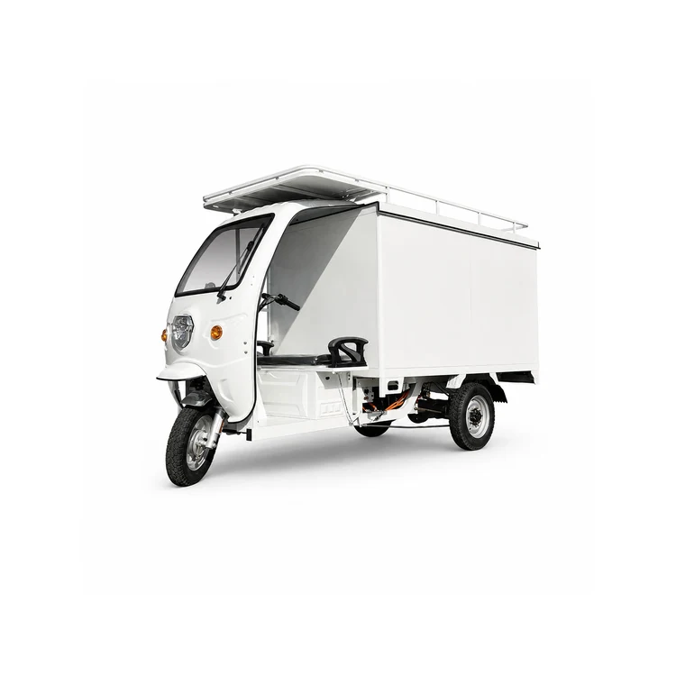 Raymon Enclosed Cargo EV 0067