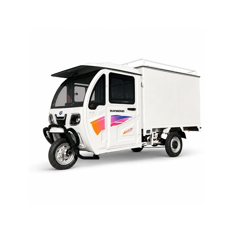 Raymon Enclosed Cargo EV 0068