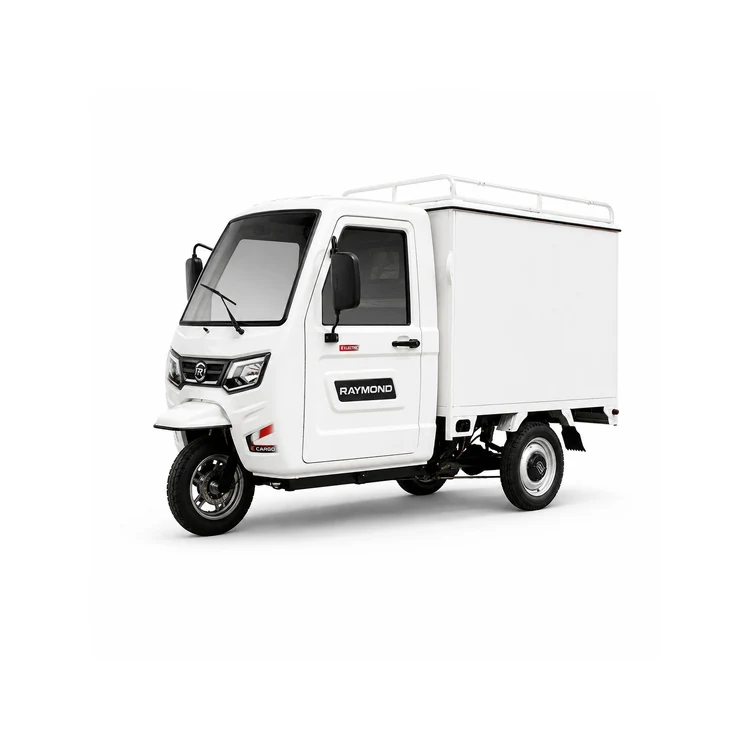 Raymon Enclosed Cargo EV 0069