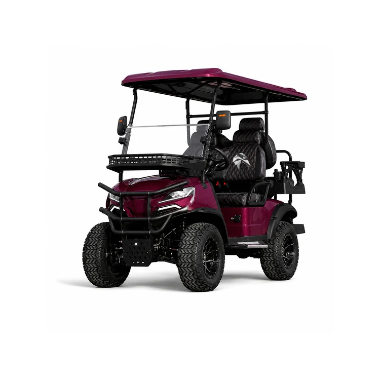 Raymon Golf Cart Resort EV 0249