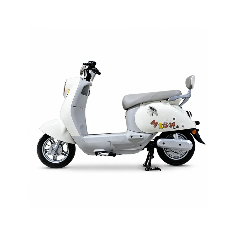 Raymon Motorcycle-Style Tricycle 0071