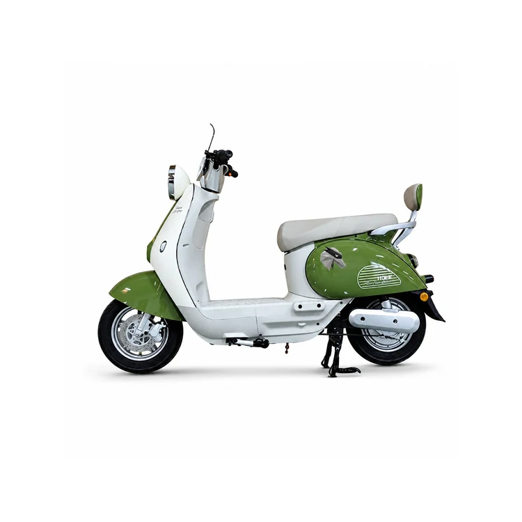 Raymon Motorcycle-Style Tricycle 0073