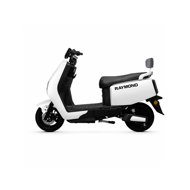 Raymon Motorcycle-Style Tricycle 0077
