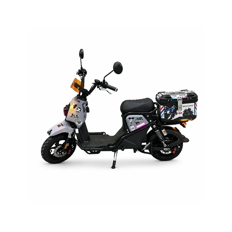 Raymon Motorcycle-Style Tricycle 0080