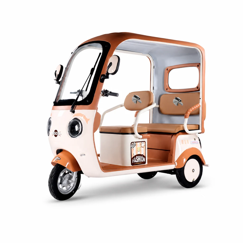 Raymon Passenger Leisure Tricycle 0139
